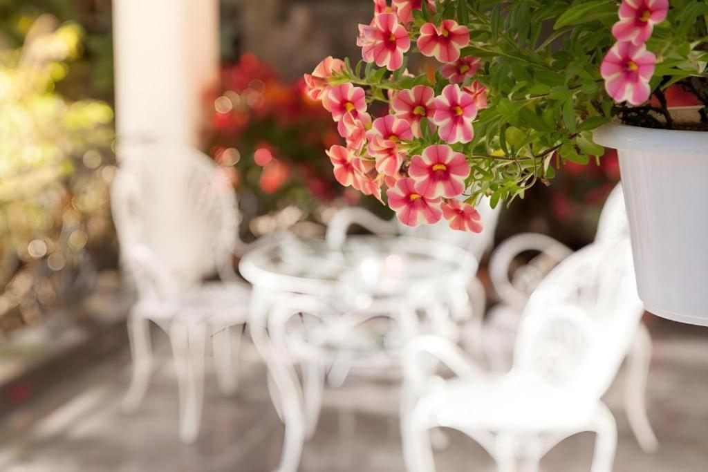 Hoa Sen Vang Hotel Dalat Εξωτερικό φωτογραφία